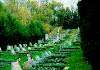  Beth Jacob Cemetery